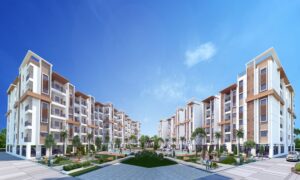 ok.com: Supporting Silver Entrepreneurs with Senior-Friendly Jobs, Home Offices, Reliable Vans, and Business Support Services