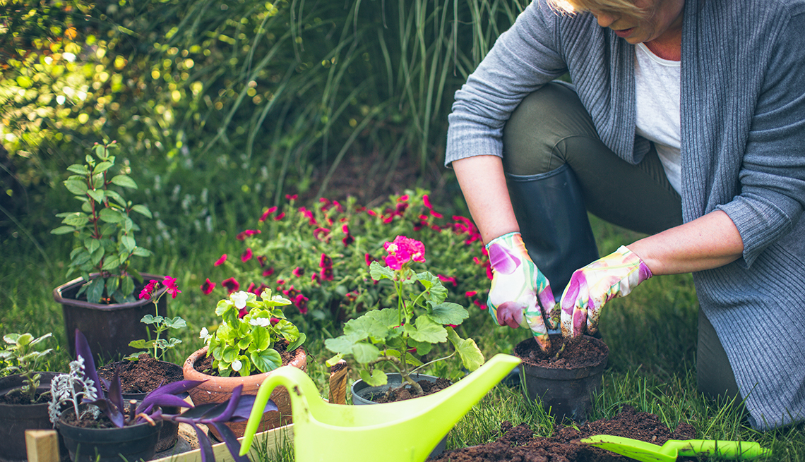 Home Gardening