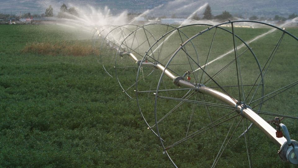 Ensuring Seamless Water Flow: The Importance of Orange County Irrigation Repair