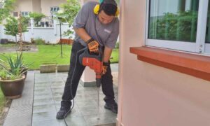 Unlocking the Secrets of Effective Termite Prevention and Eradication