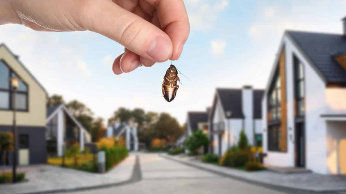 6 Tips to Prevent Pests from Entering Your House