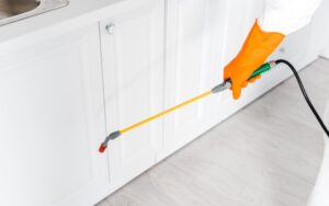 How Smart Sensors Are Revolutionizing Termite Detection?