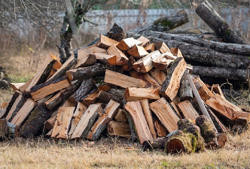 Kiln-Dried Firewood