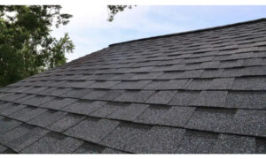 Tips for Maintaining Your Shingle Roof Over Time