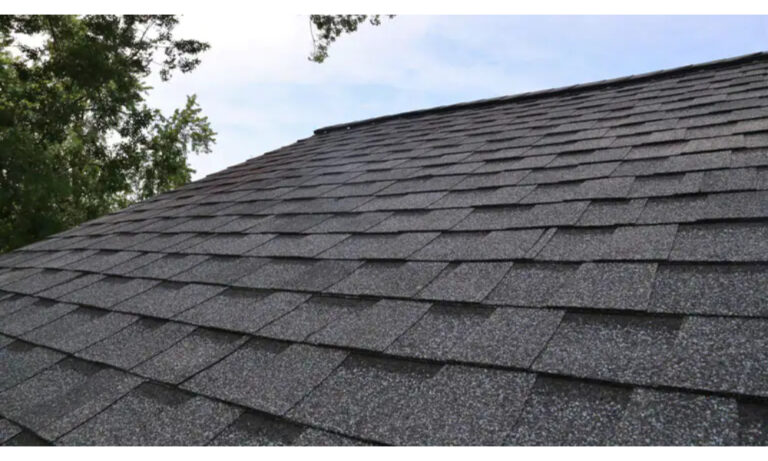 Tips for Maintaining Your Shingle Roof Over Time