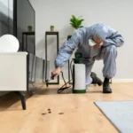 Expert Pest Prevention Tips for Riverside Homeowners