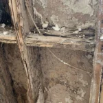 How Modern Insulation and Foam Board Can Hide Termite Activity in Horizon West