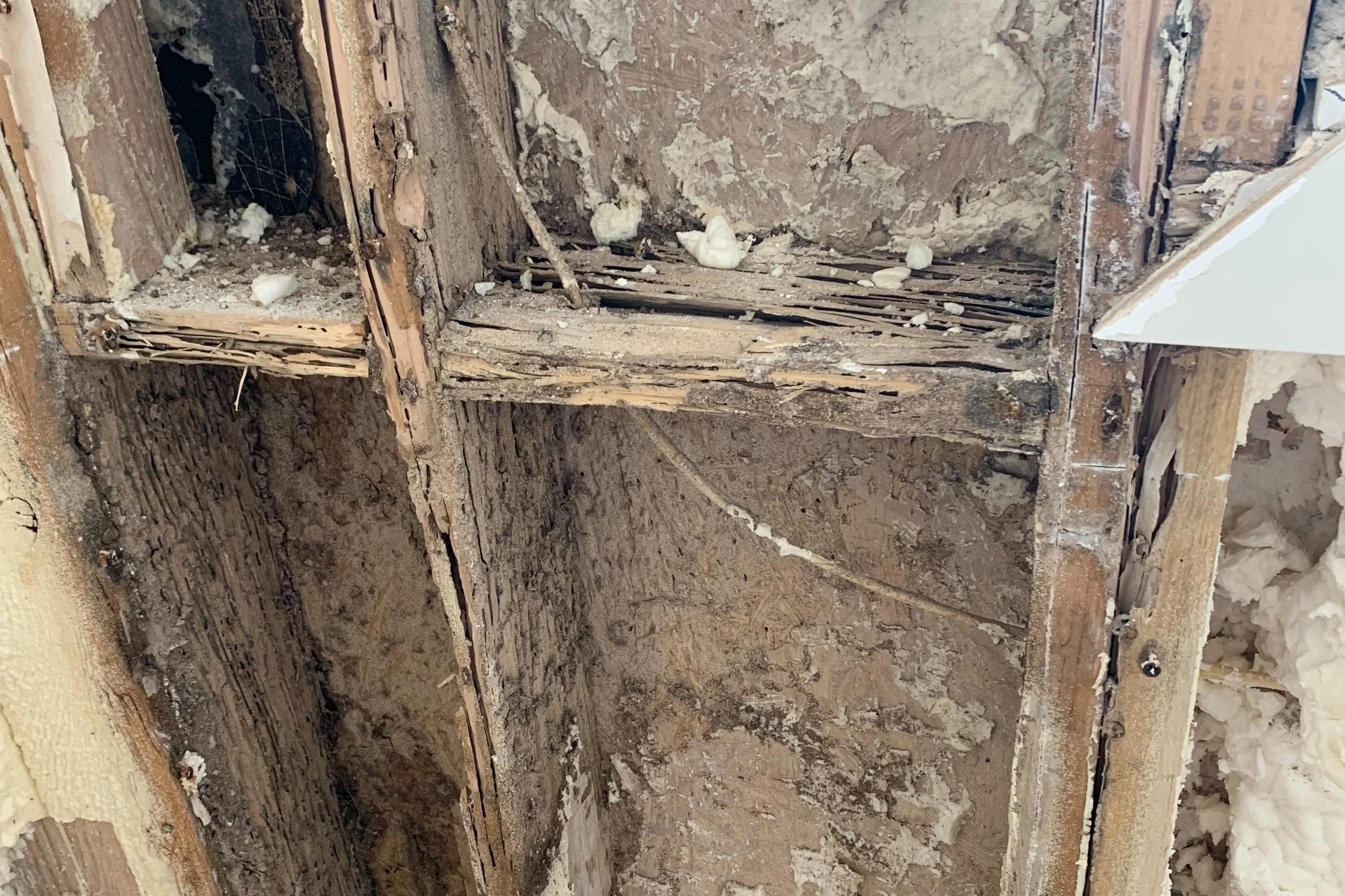 How Modern Insulation and Foam Board Can Hide Termite Activity in Horizon West