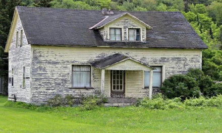 Peeling Back a Century of Paint in Rhode Island Homes