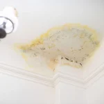 Signs Your Ceiling Leak Needs Immediate Repair