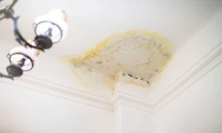 Signs Your Ceiling Leak Needs Immediate Repair